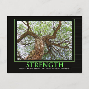 Strength quote to brighten anyday postcard