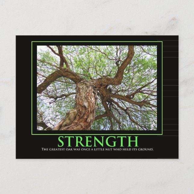 Strength quote to brighten anyday postcard (Front)