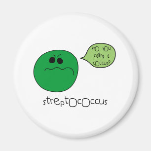 Streptococcus Magnet