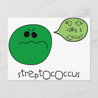 Streptococcus Postcard