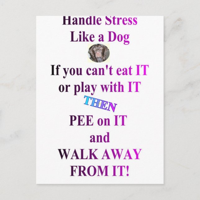 STRESS POSTCARD (Front)