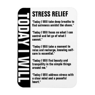 Stress Relief Goals Reminder Customize Magnet