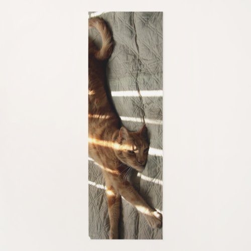 Stretch Cat Double Sided Yoga Mat