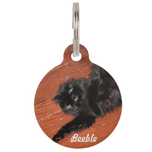 Stretch Pet ID Tag