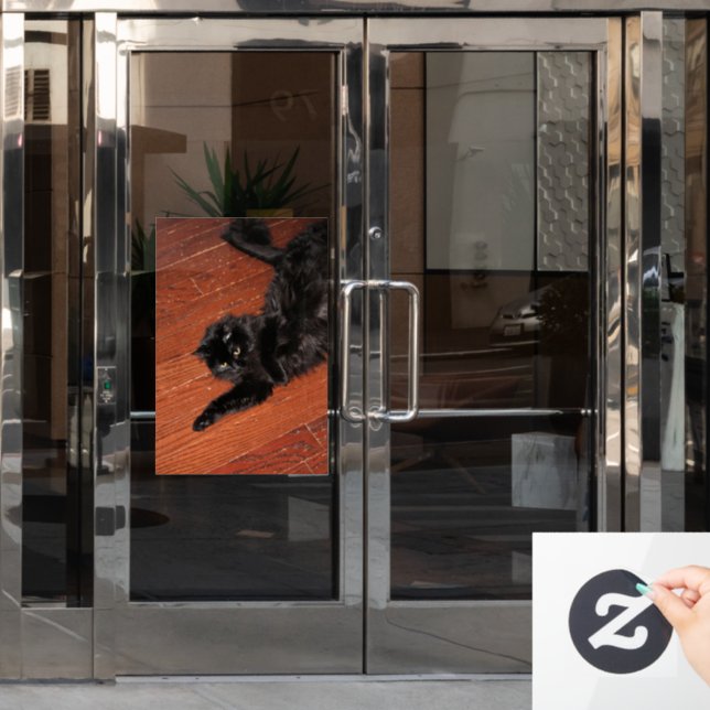 Stretch Window Cling (Office Door)