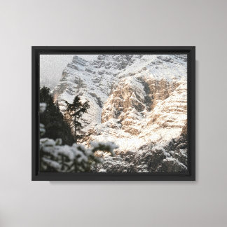 Stretched Canvas Print