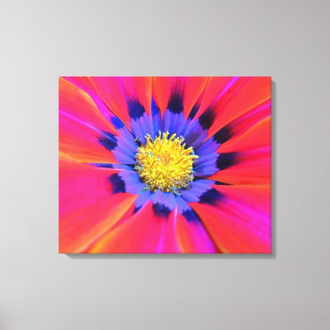 Stretched Canvas Print (Front)