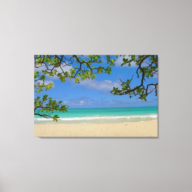 Stretched Canvas Print (Front)