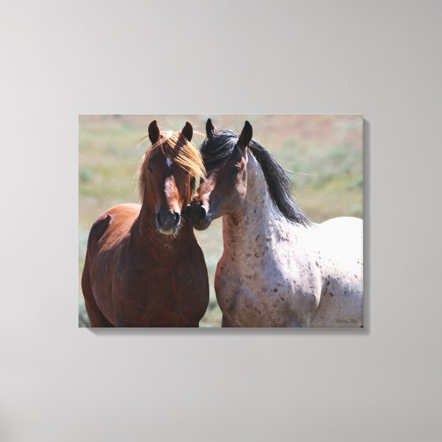 Stretched Canvas Print (Front)