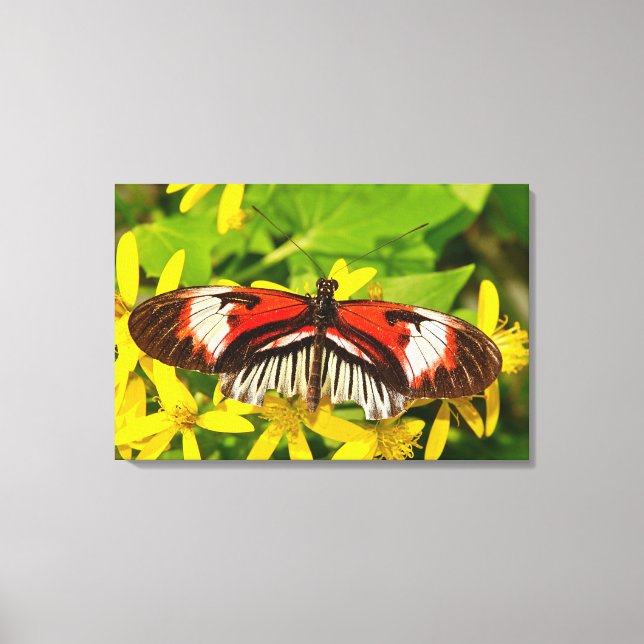 Stretched Canvas Print (Front)