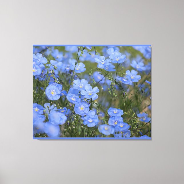 Stretched Canvas Print (Front)