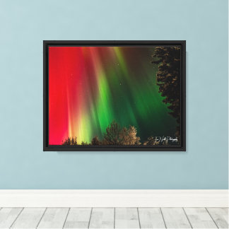 Stretched Canvas Print