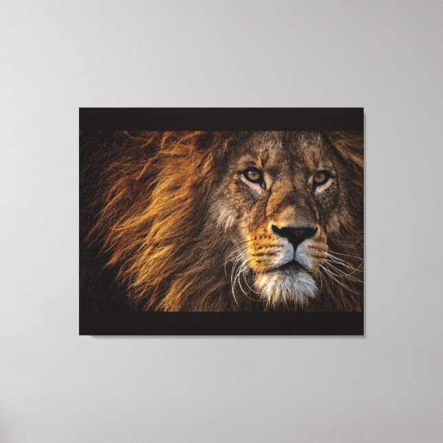 Stretched Canvas Print (Front)