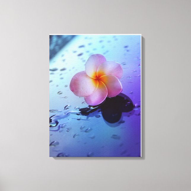 Stretched Canvas Print (Front)