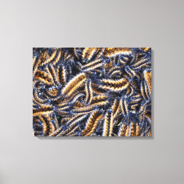 Stretched Canvas Print (Front)