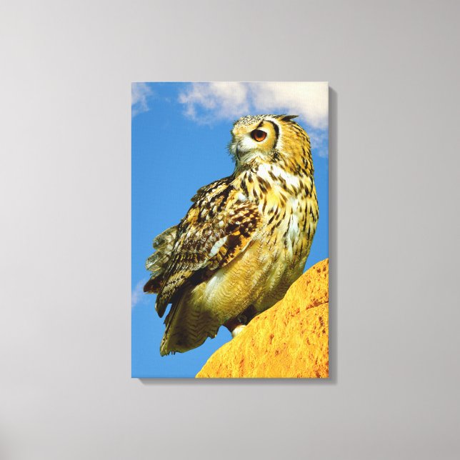 Stretched Canvas Print (Front)