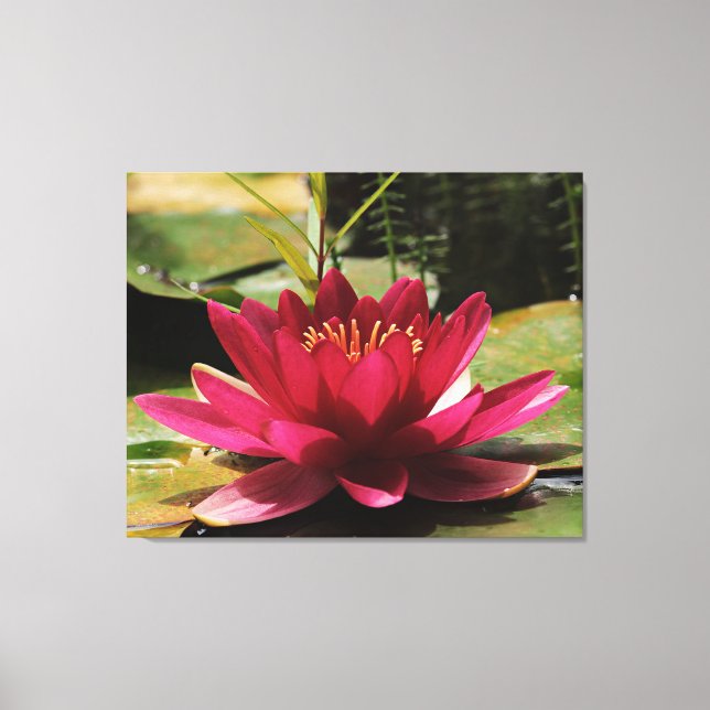 Stretched Canvas Print (Front)