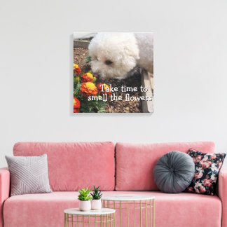 Stretched Canvas Print