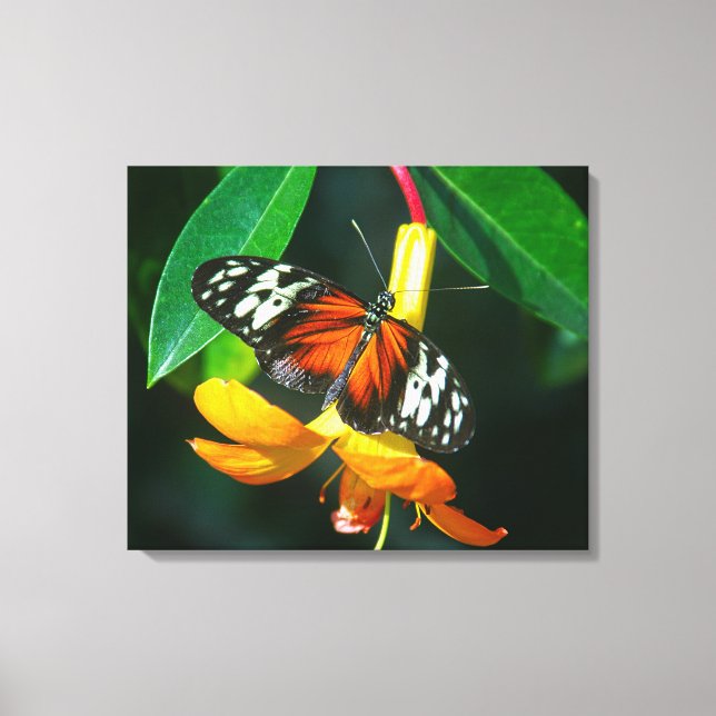 Stretched Canvas Print (Front)