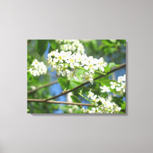 Stretched Canvas Print (Front)