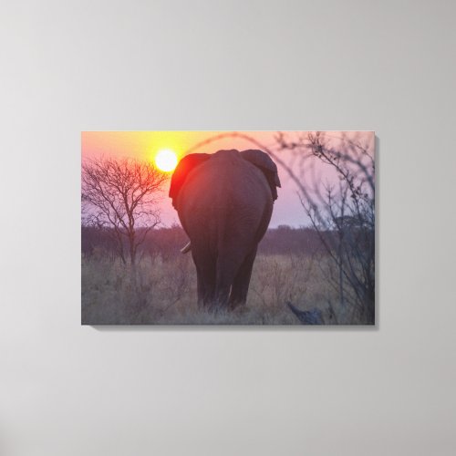 Stretched Canvas Print