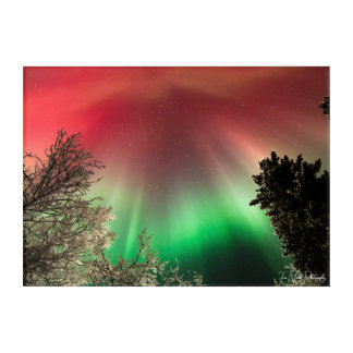 Stretched Canvas Print Acrylic Print