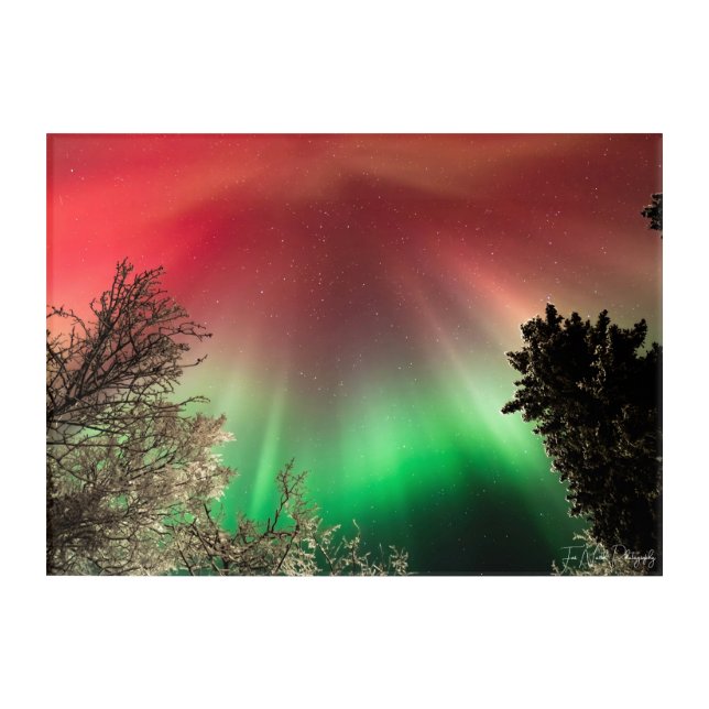 Stretched Canvas Print Acrylic Print (Front)