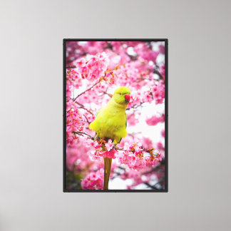Stretched Canvas Print - Cherry Blossom Parakeet