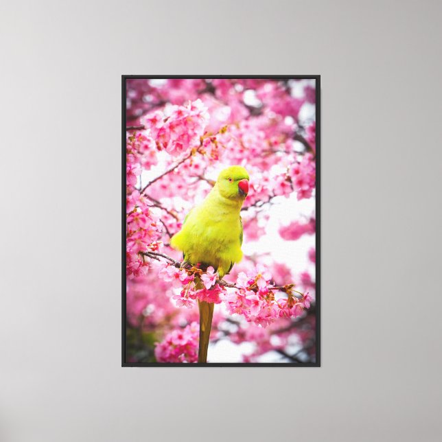 Stretched Canvas Print - Cherry Blossom Parakeet (Front)
