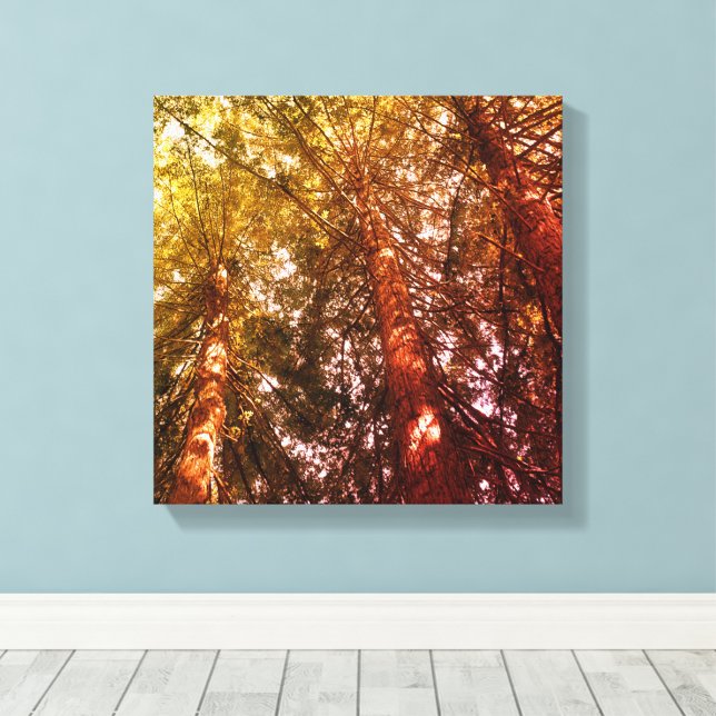 Stretched Canvas Print, In the Redwoods Print (Insitu(Wood Floor))