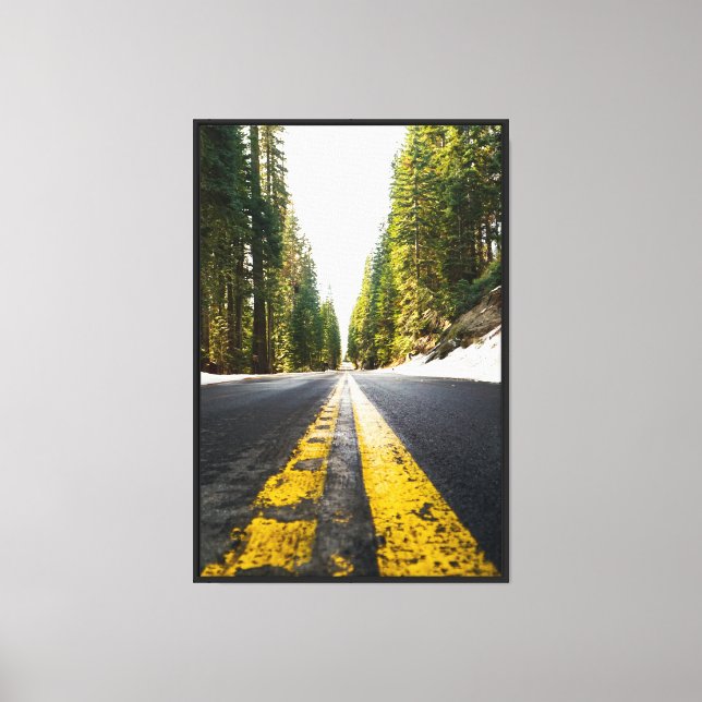 Stretched Canvas Print - Sequoia National Park (Front)