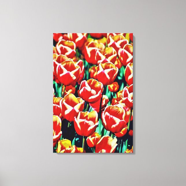 Stretched Canvas Print tulips  (Front)