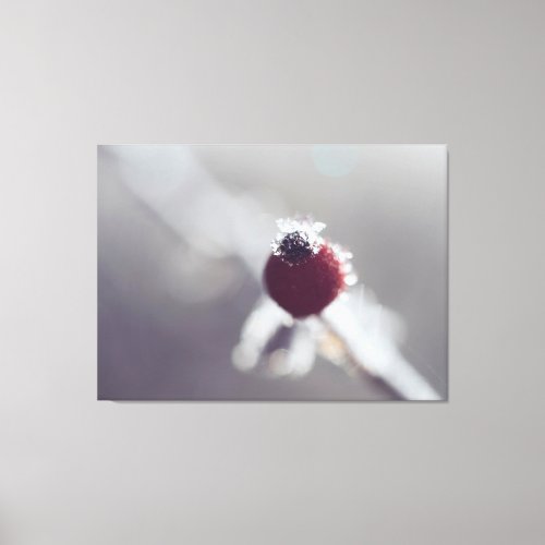 Stretched Canvas Print _ Winter Berry