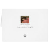 Stretched Cat on Sofa - by Theophile Steinlen Cards (Back Horizontal)