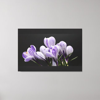 Stretched Wall Canvas Print