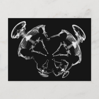 Stretched X-Ray Skeleton Family B&W Postcard