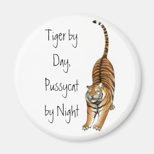 Stretching Bengal Tiger Magnet (Front)