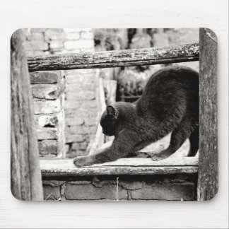 stretching cat mouse pad