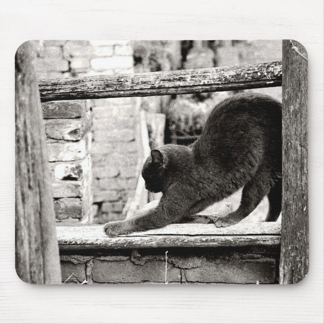 stretching cat mouse pad (Front)