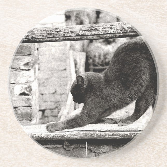 stretching cat sandstone coaster (Front)
