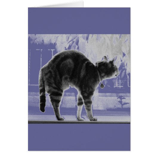 Stretching Indigo Pencil Cards (Front)
