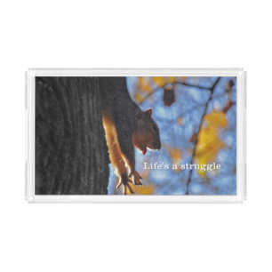 Stretching Squirrel 2 Acrylic Tray