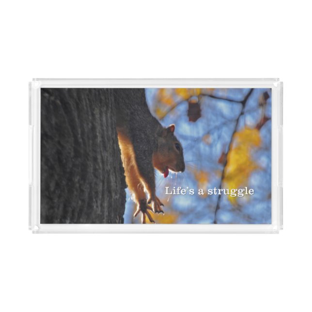 Stretching Squirrel 2 Acrylic Tray (Front)