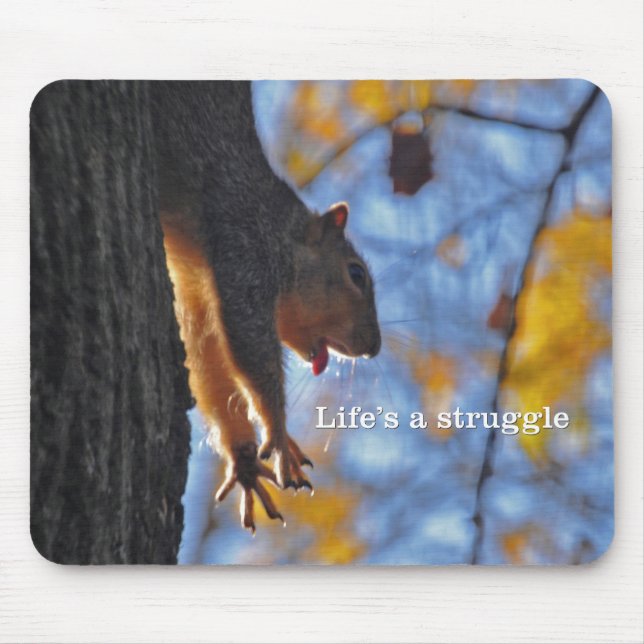 Stretching Squirrel 2 Mouse Pad (Front)