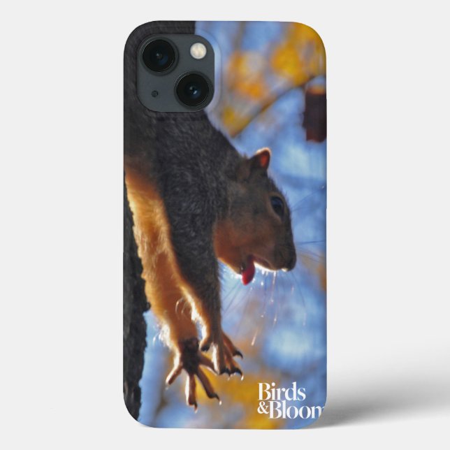 Stretching Squirrel Case-Mate iPhone Case (Back)