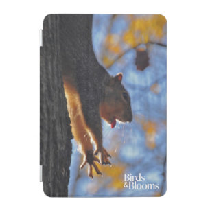 Stretching Squirrel iPad Mini Cover