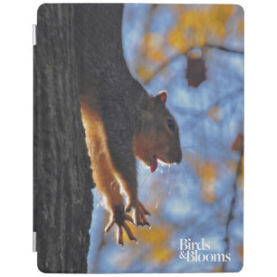 Stretching Squirrel iPad Smart Cover