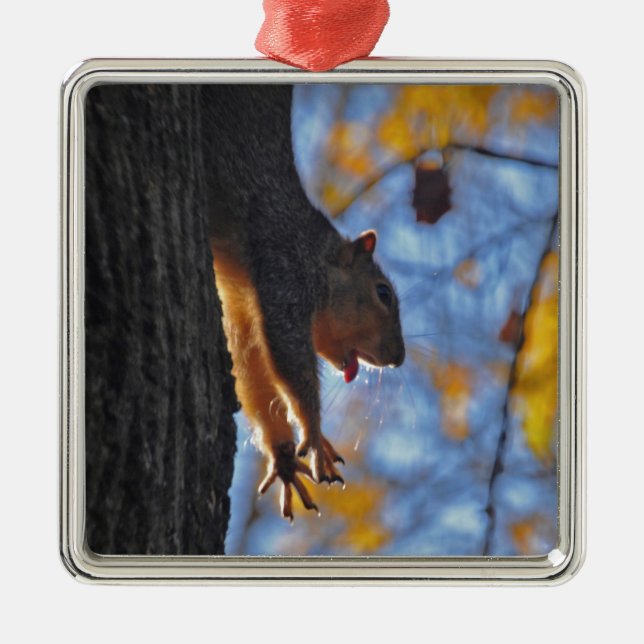 Stretching Squirrel Metal Ornament (Front)