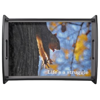 Stretching Squirrel Serving Tray by birdsandblooms at Zazzle