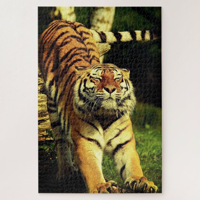 Stretching Tiger Jigsaw Puzzle (Vertical)